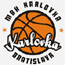 https://img.aneapp.com/img/basketball/team/0c2f73d2ab7041cf90029a20deff7f17.gif